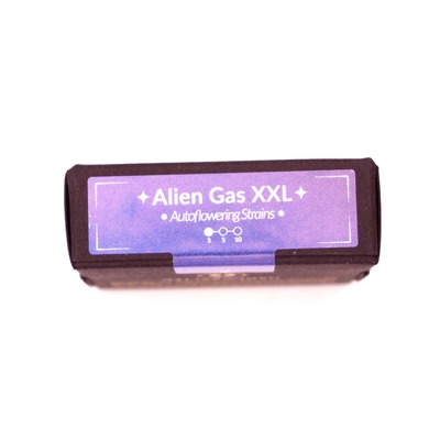 Alien Gas XXL Auto > Silent Seeds | Autoflowering Hanfsamen  |  Indica
